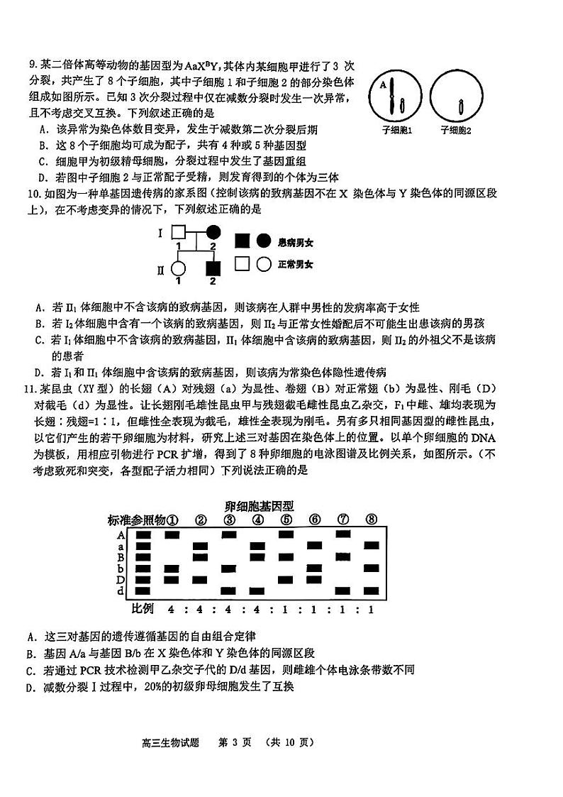 山东省部分名校2025届高三上学期12月校际联合检测生物试题+答案第3页