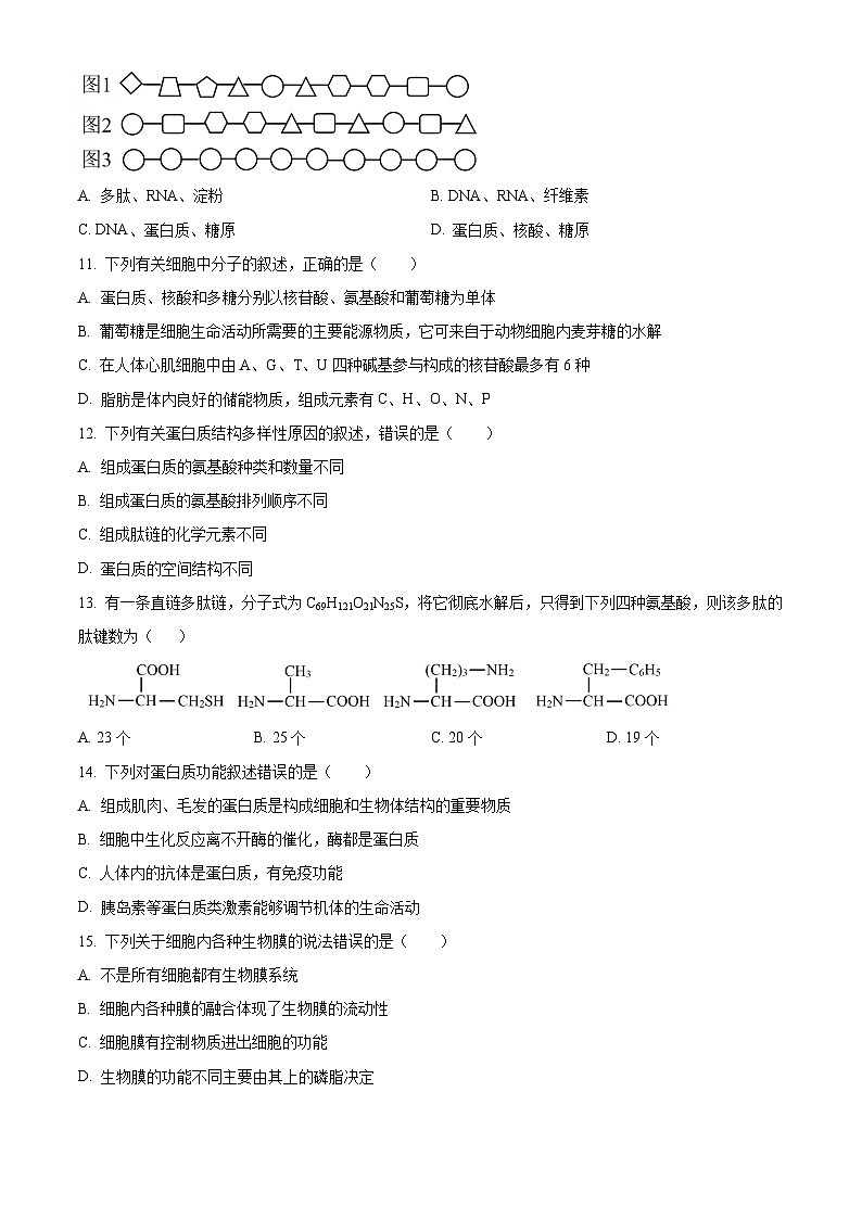 河南省郑州市十校2024-2025学年高一上学期期中联考生物试卷无答案第3页