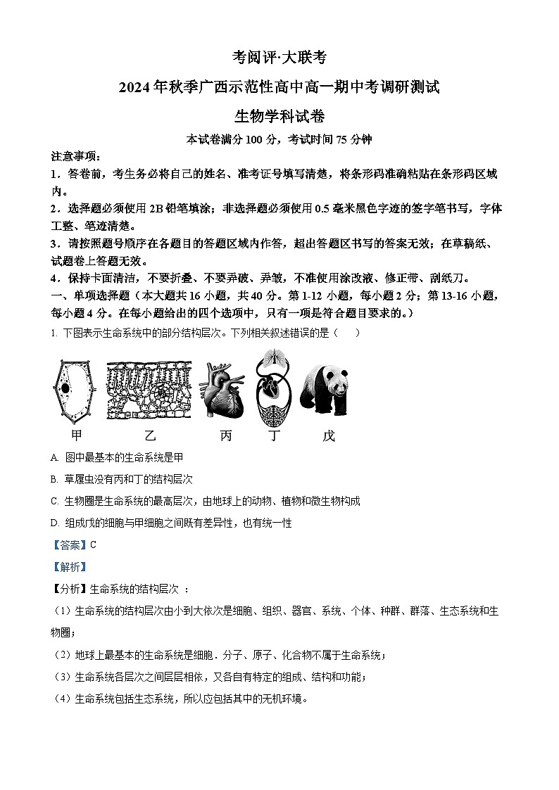 广西壮族自治区玉林市2024-2025学年高一上学期11月期中生物试题含解析第1页