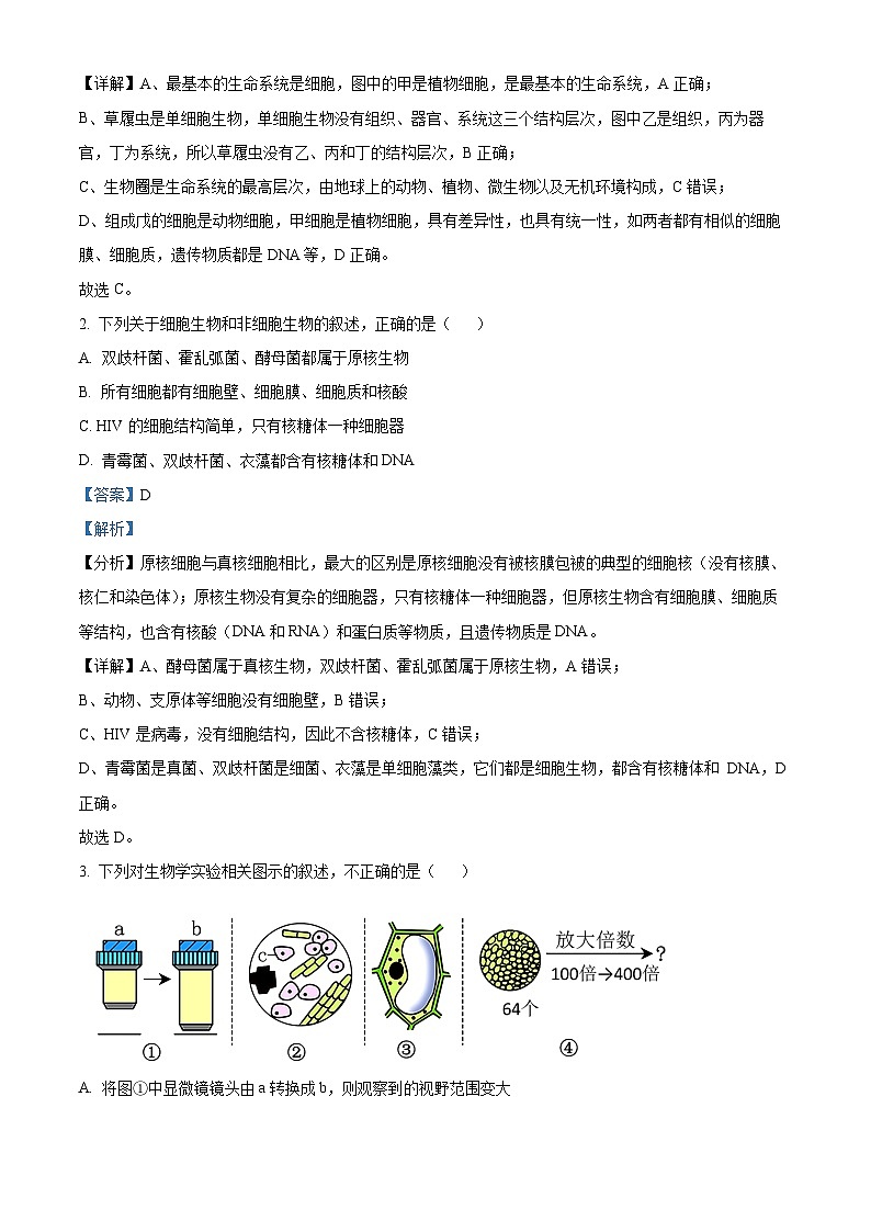 广西壮族自治区玉林市2024-2025学年高一上学期11月期中生物试题含解析第2页