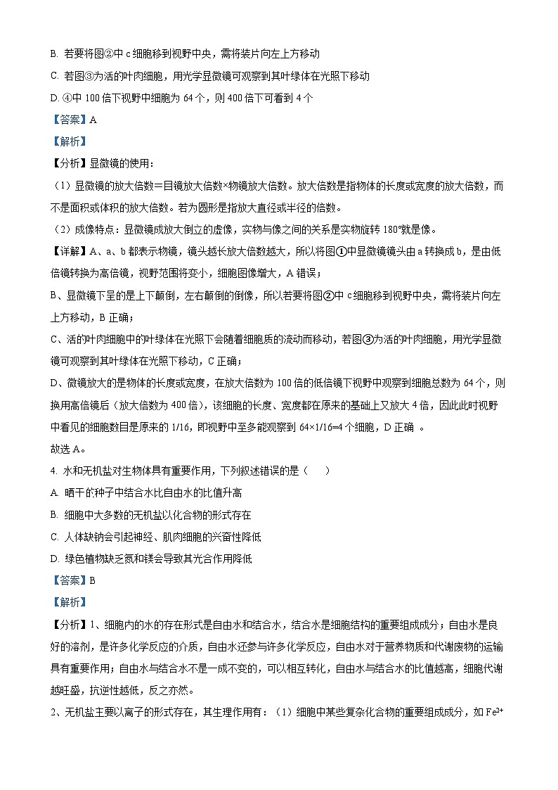 广西壮族自治区玉林市2024-2025学年高一上学期11月期中生物试题含解析第3页