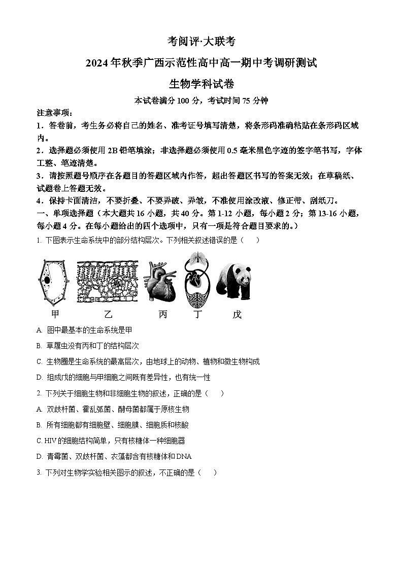 广西壮族自治区玉林市2024-2025学年高一上学期11月期中生物试题无答案第1页