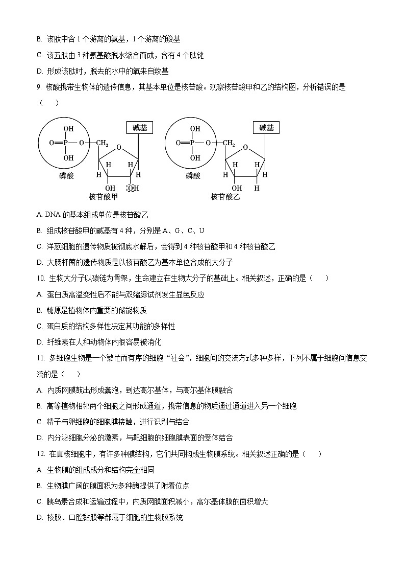 广西壮族自治区玉林市2024-2025学年高一上学期11月期中生物试题无答案第3页