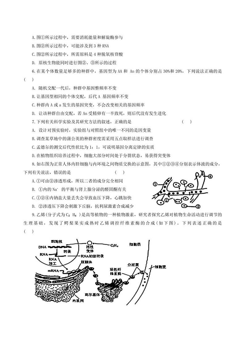 2025届河北省邯郸市高三(上)第一次大联考(月考)模拟预测生物试卷(含答案)第2页