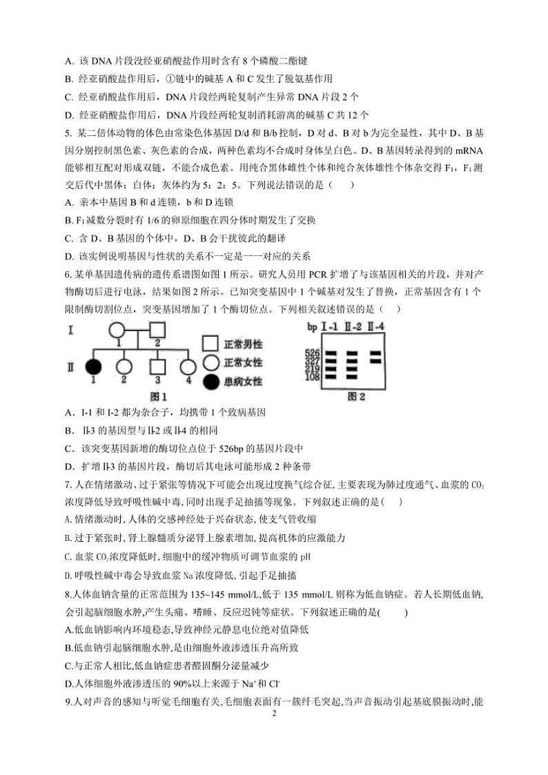 2024～2025学年山东省临沂市第一中学北校区高三(上)11月阶段性检测生物试卷(含解析)第2页