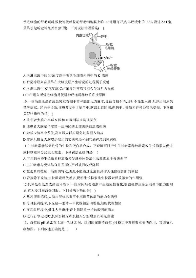 2024～2025学年山东省临沂市第一中学北校区高三(上)11月阶段性检测生物试卷(含解析)第3页