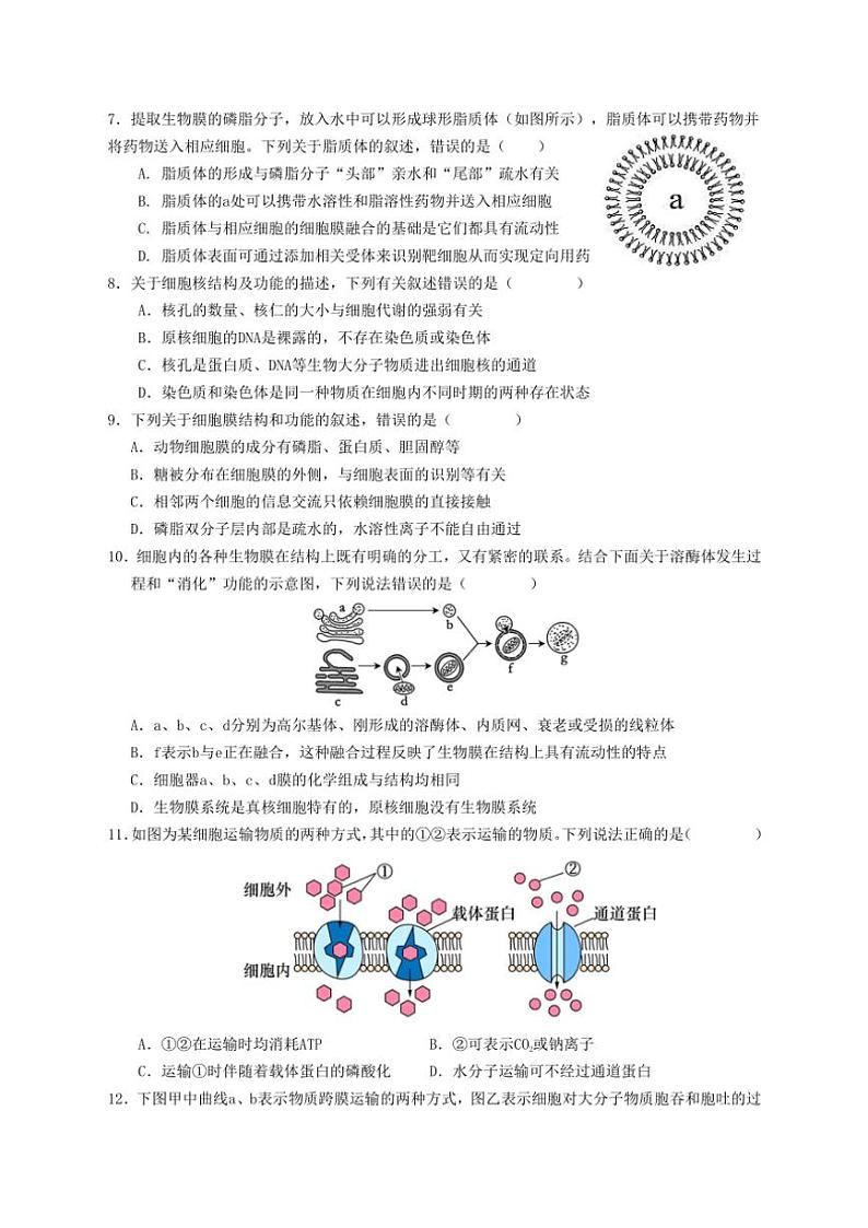 2024～2025学年福建省宁德市福鼎市第四中学高一(上)12月月考生物试卷(含答案)第2页