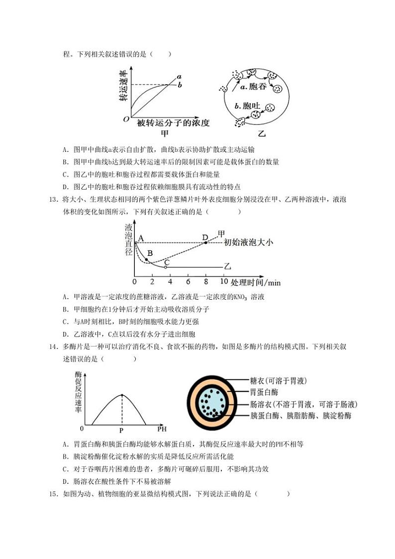 2024～2025学年福建省宁德市福鼎市第四中学高一(上)12月月考生物试卷(含答案)第3页