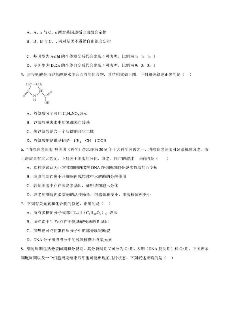 2025届安徽省六安市独山中学高三(上)期中生物试卷(含答案)第2页