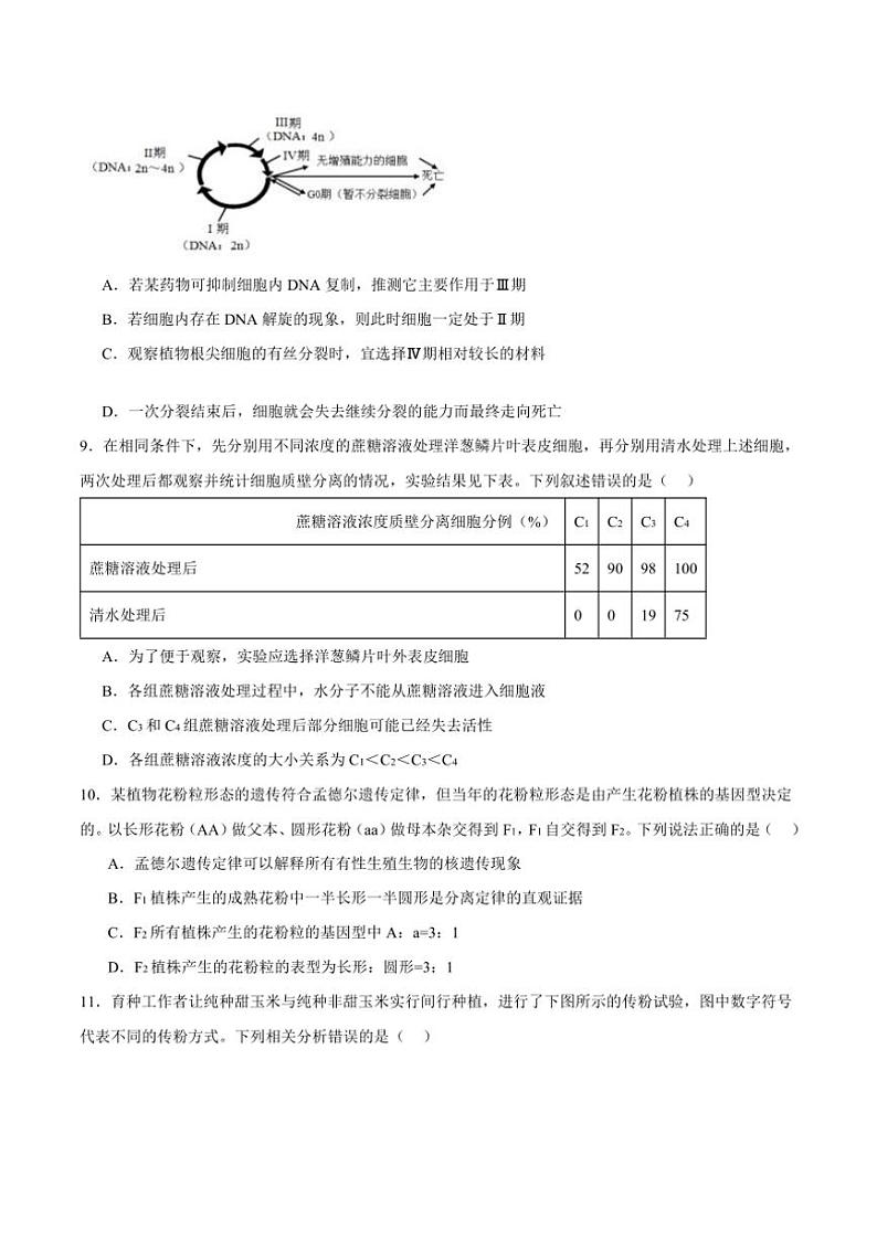 2025届安徽省六安市独山中学高三(上)期中生物试卷(含答案)第3页