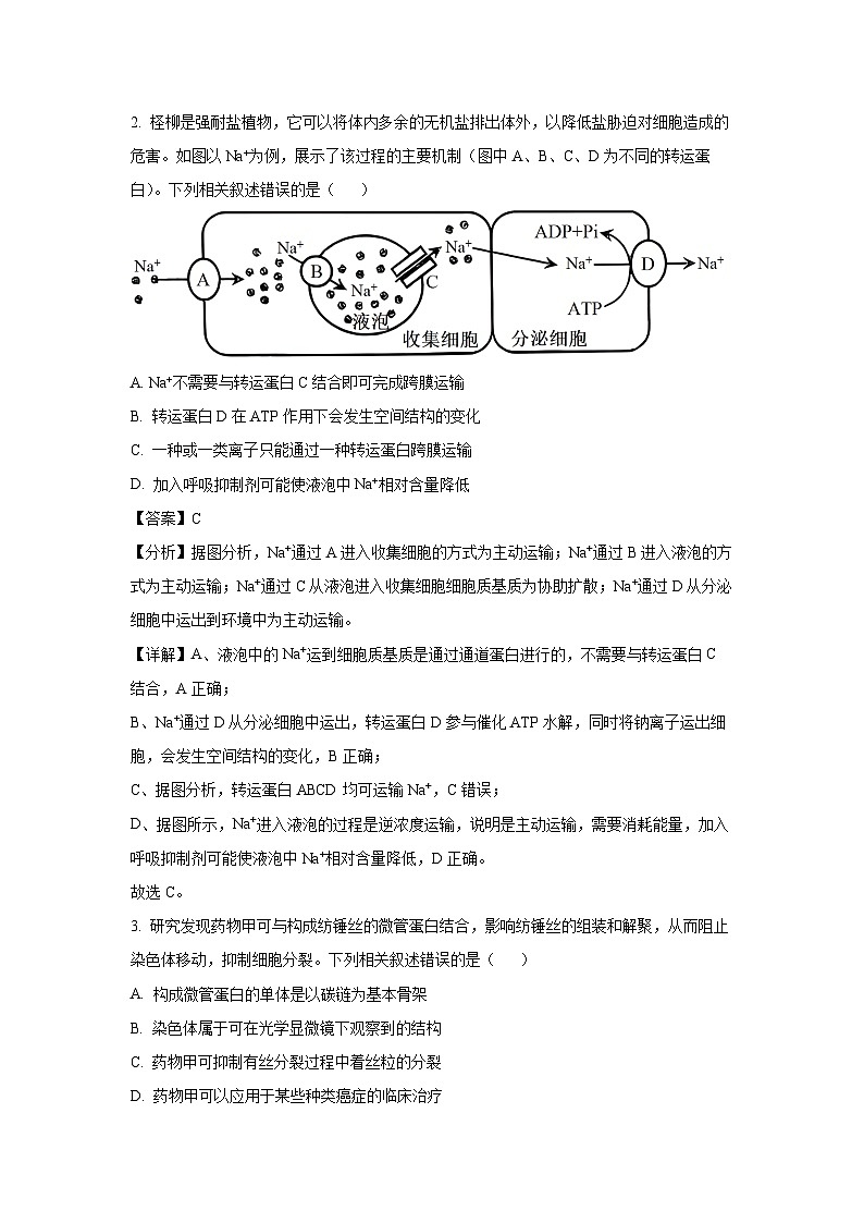 2025届河南天一大联考高三(上)阶段性检测（三）生物试卷（解析版）第2页