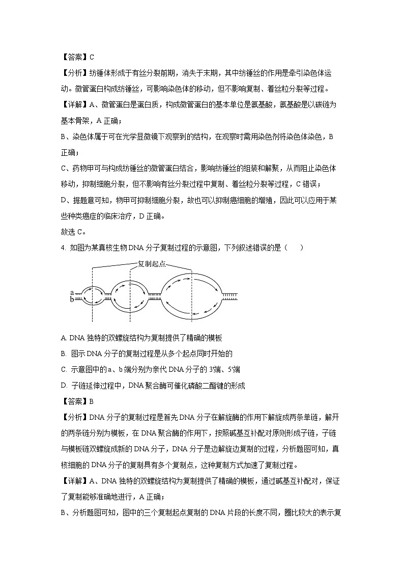 2025届河南天一大联考高三(上)阶段性检测（三）生物试卷（解析版）第3页