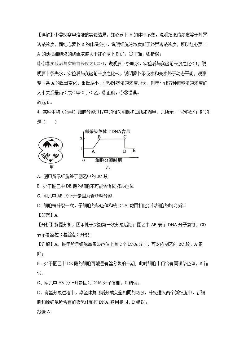 湖南省多校联考2024-2025学年高二(上)11月期中考试生物试卷（解析版）第3页
