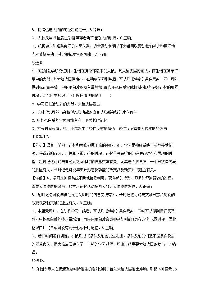 湖北省部分名校2024-2025学年高二(上)期中联考生物试卷（解析版）第3页