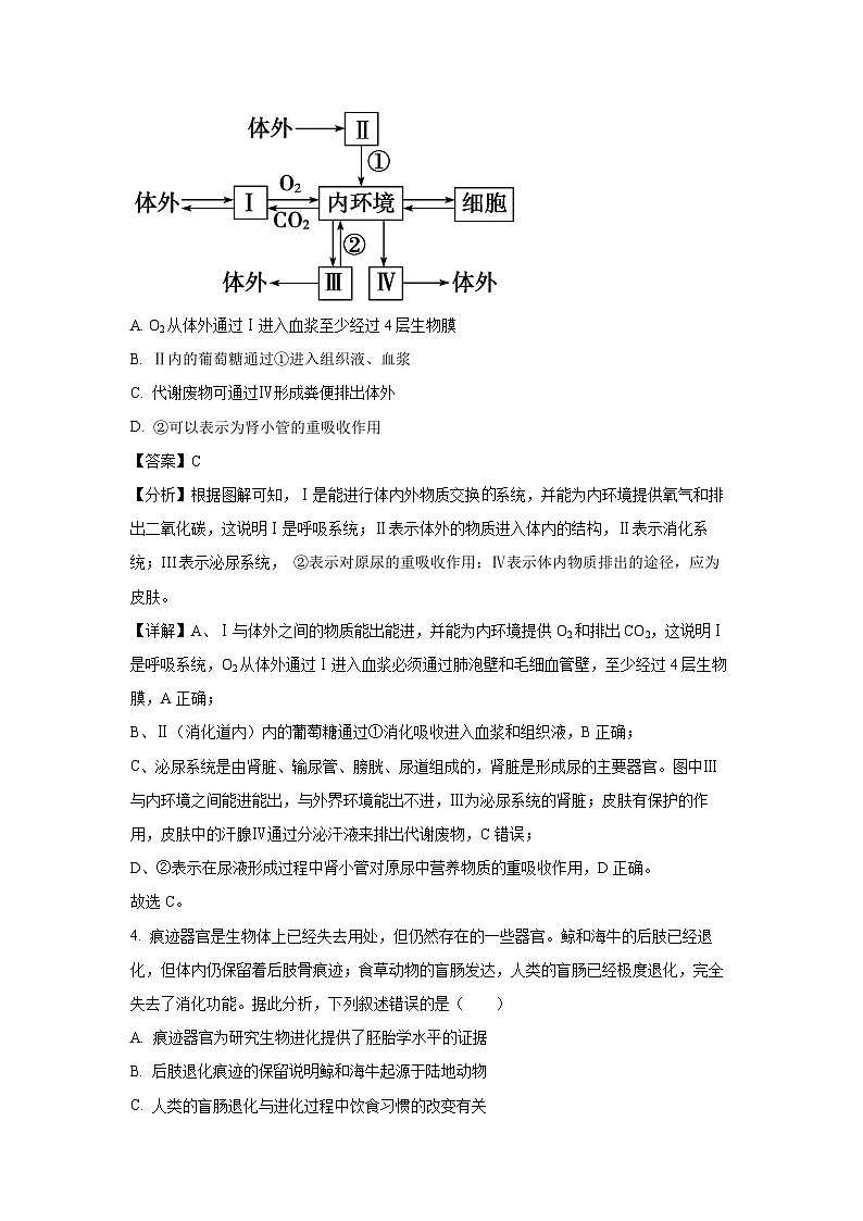湖北省“荆、荆、襄、宜四地七校考试联盟”2024-2025学年高二(上)期中联考生物试卷（解析版）第3页