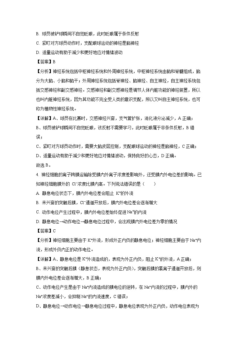 河南省洛阳市2024-2025学年高二(上)11月期中考试生物试卷（解析版）第3页