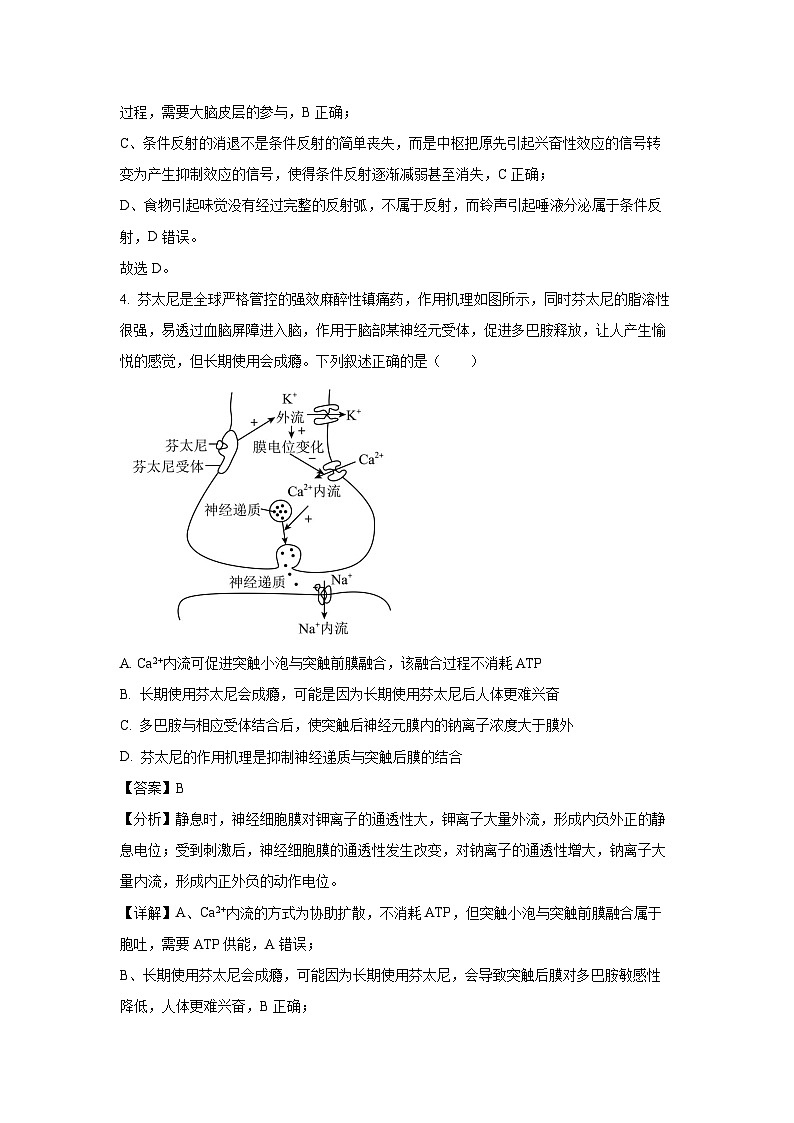 河北省部分校2024-2025学年高二(上)期中联考生物生物试卷（解析版）第3页