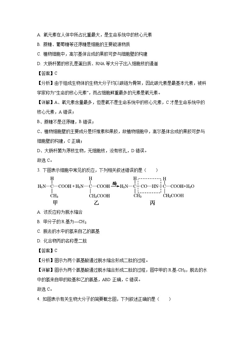 广东省阳江市高新区2024-2025学年高二(上)11月期中生物试卷（解析版）第2页