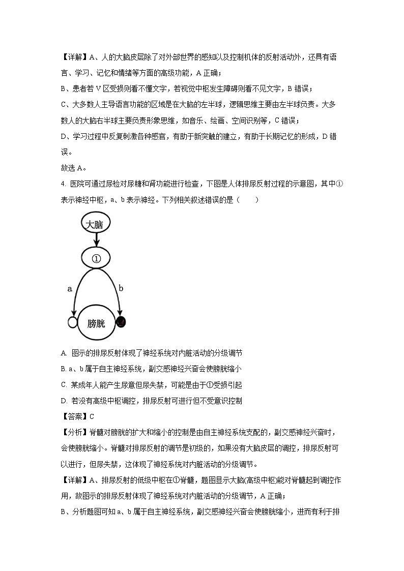 广西壮族自治区玉林市2024-2025学年高二(上)11月期中考试生物试卷（解析版）第3页