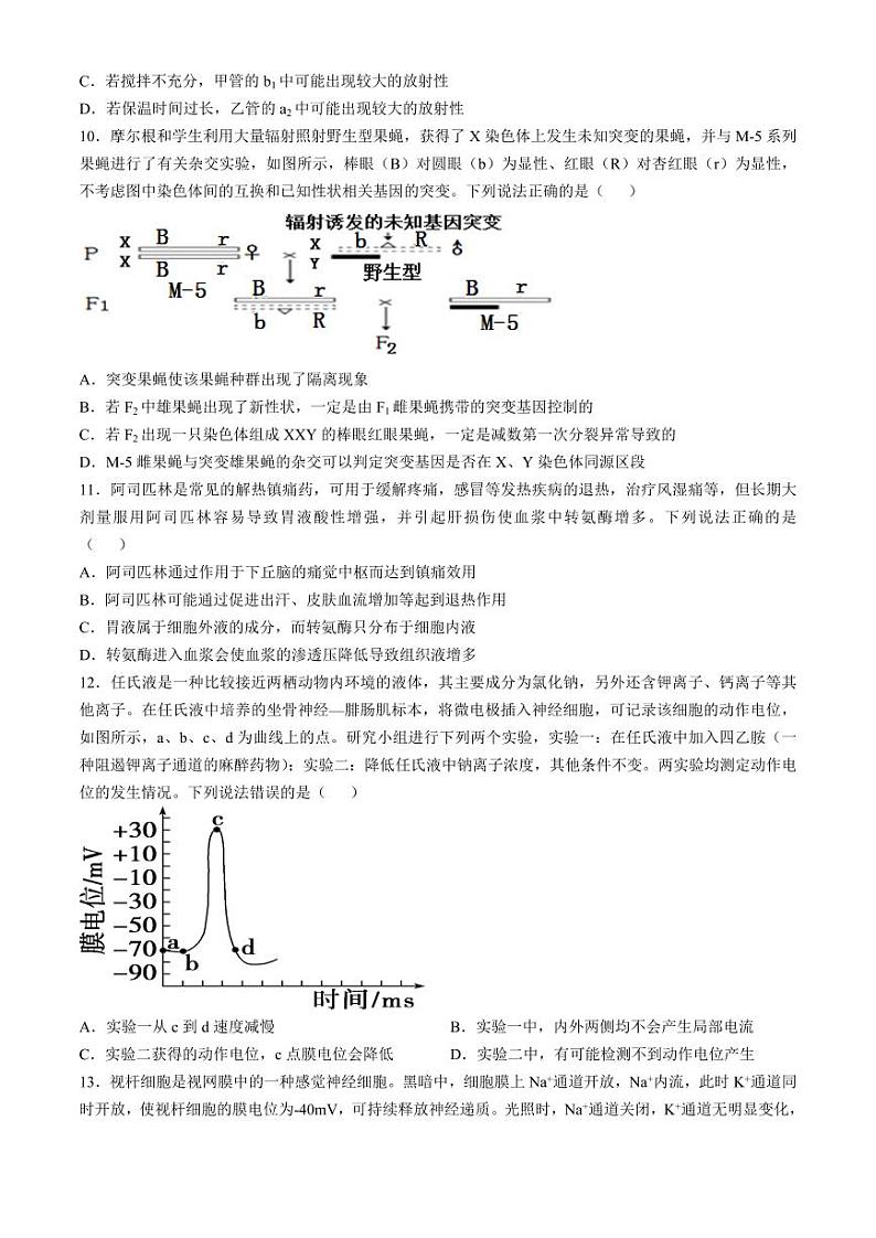 山东省威海市文登区2025届高三上学期高考12月第一次模拟考-生物试题+答案第3页