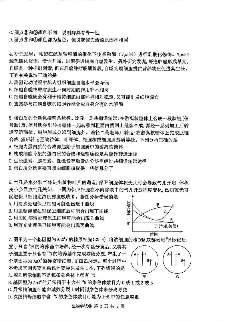 湖北省腾云联盟2025届高三上学期12月联考-生物试卷+答案第2页