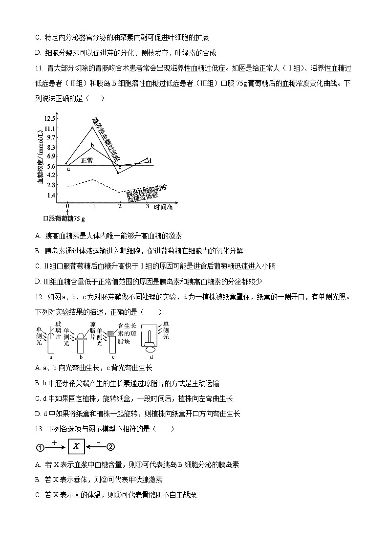 黑龙江省哈尔滨市第三中学2024-2025学年高二上学期期中生物试卷 Word版无答案第3页