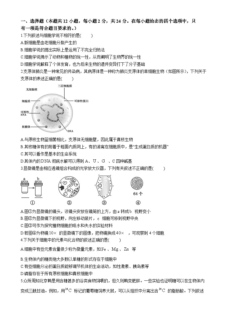 湖南省长沙市长郡中学2024-2025学年高一上学期12月月考生物试题（Word版附解析）第1页