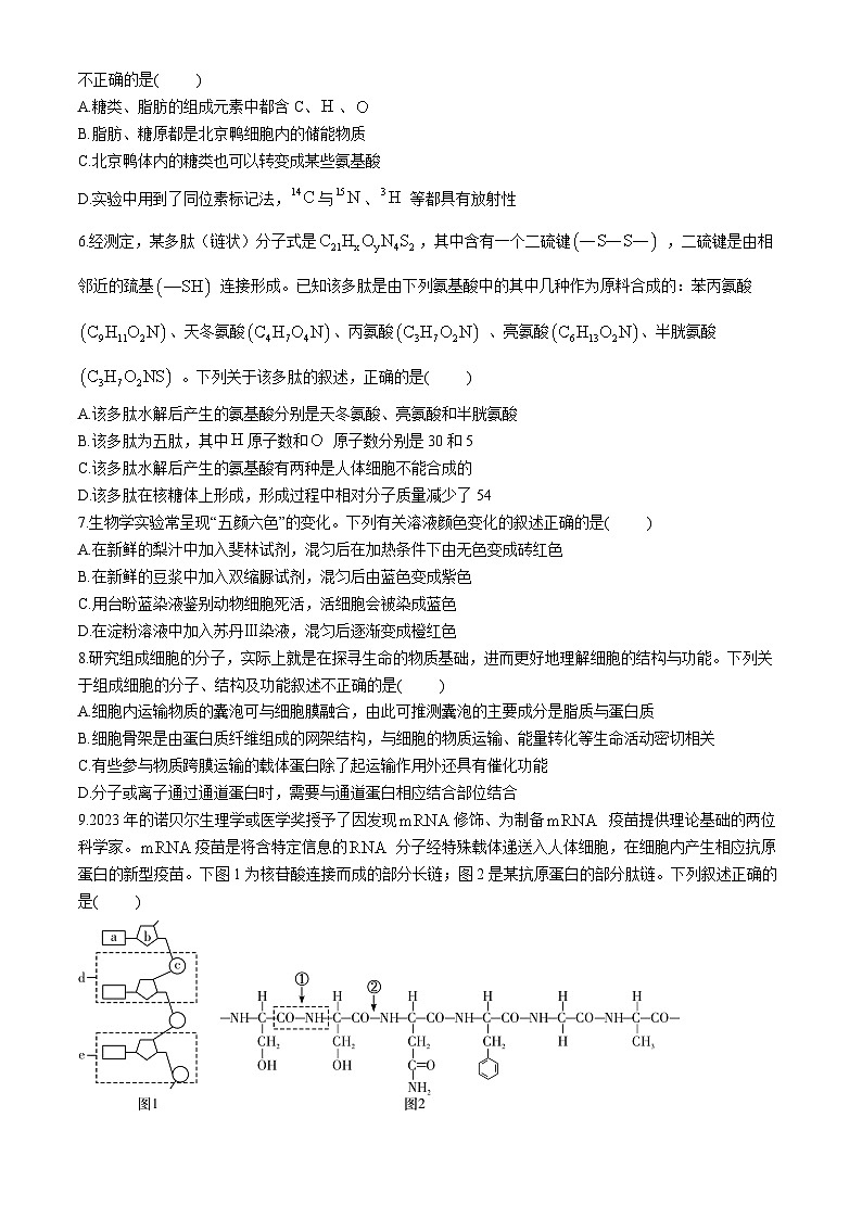 湖南省长沙市长郡中学2024-2025学年高一上学期12月月考生物试题（Word版附解析）第2页