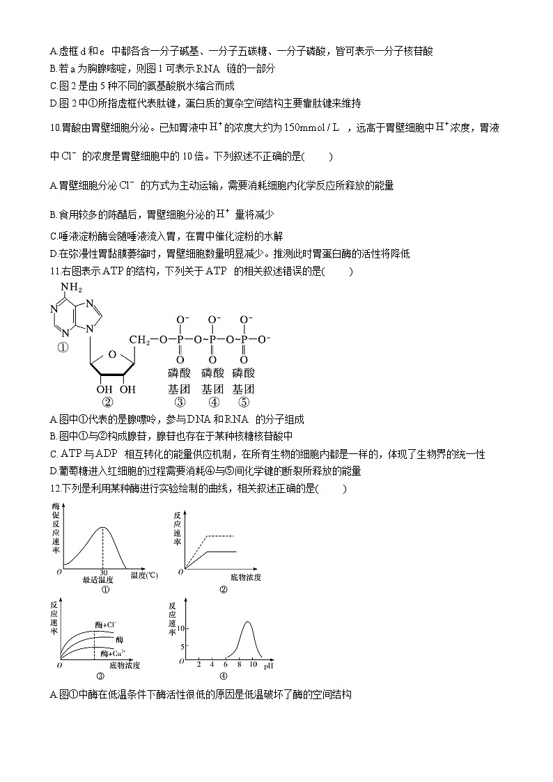湖南省长沙市长郡中学2024-2025学年高一上学期12月月考生物试题（Word版附解析）第3页