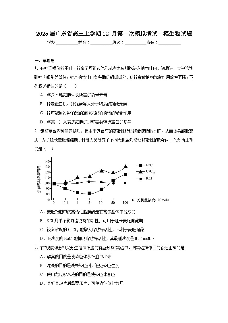 2025届广东省高三上学期12月第一次模拟考试一模生物试题第1页
