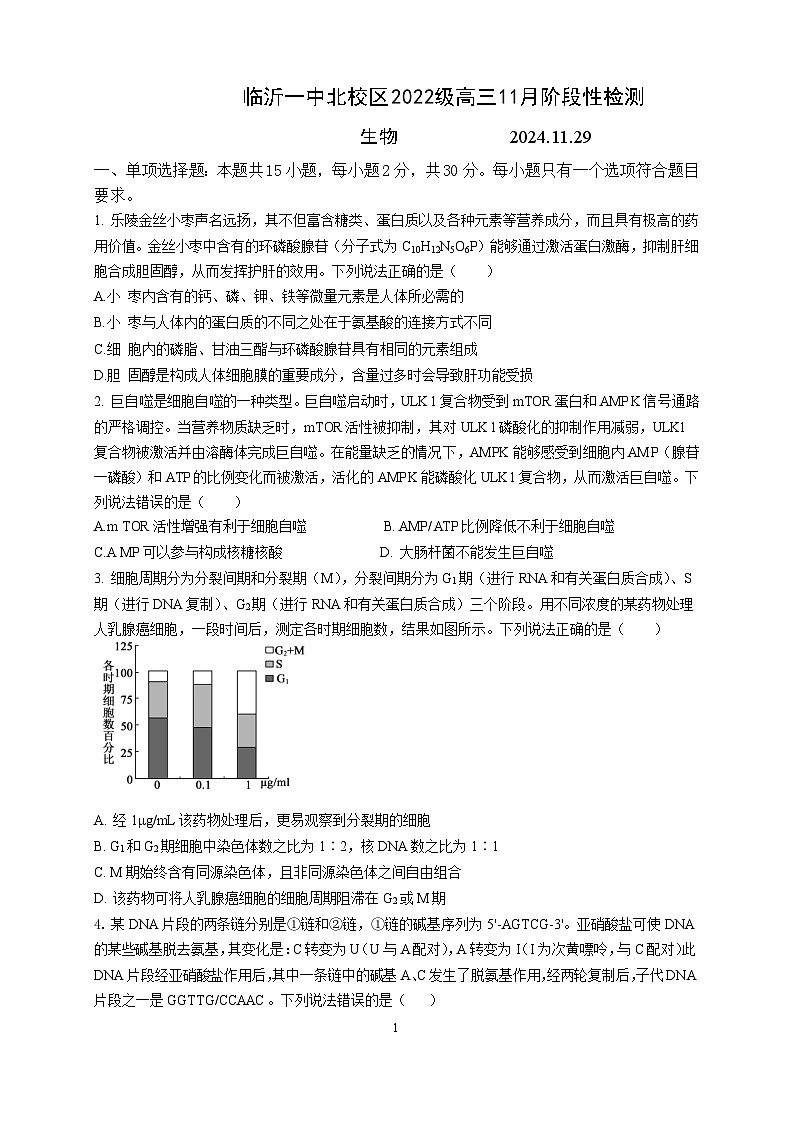 临沂一中北校区2022级高三11月阶段性检测 试题word第1页