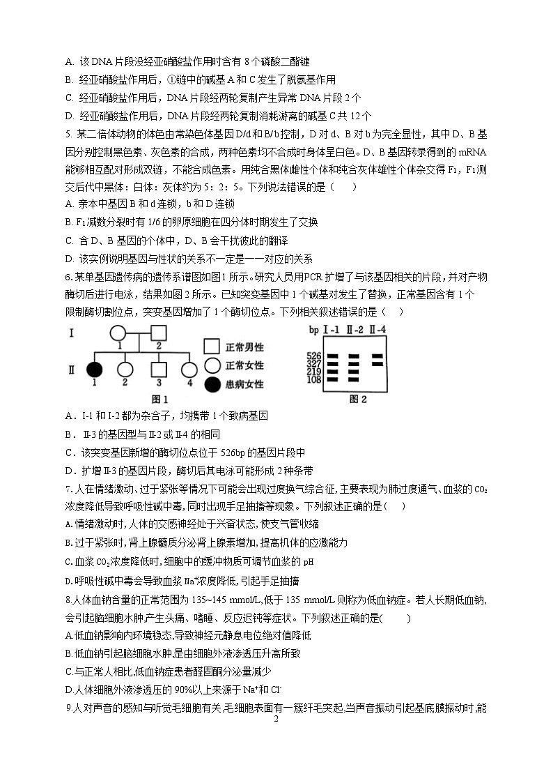 临沂一中北校区2022级高三11月阶段性检测 试题word第2页