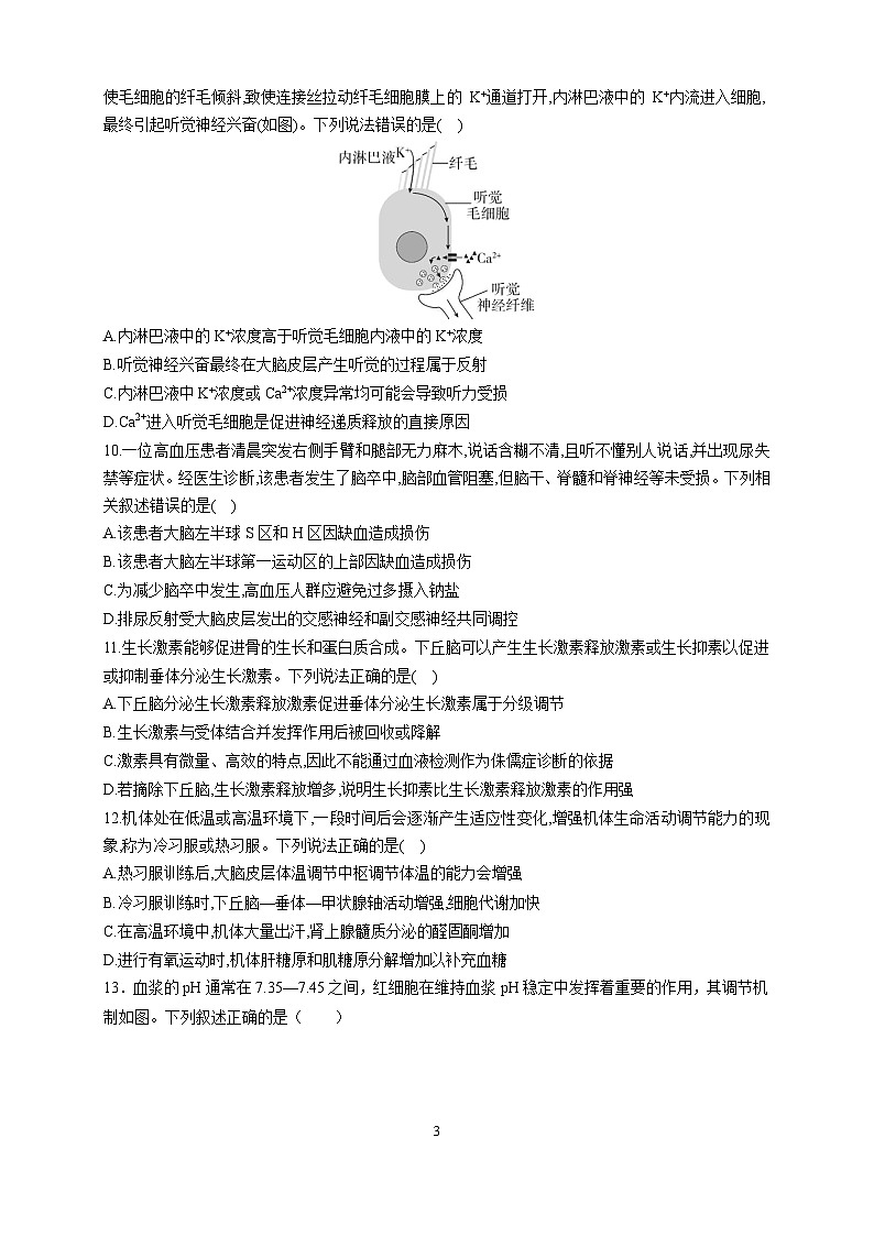 临沂一中北校区2022级高三11月阶段性检测 试题word第3页