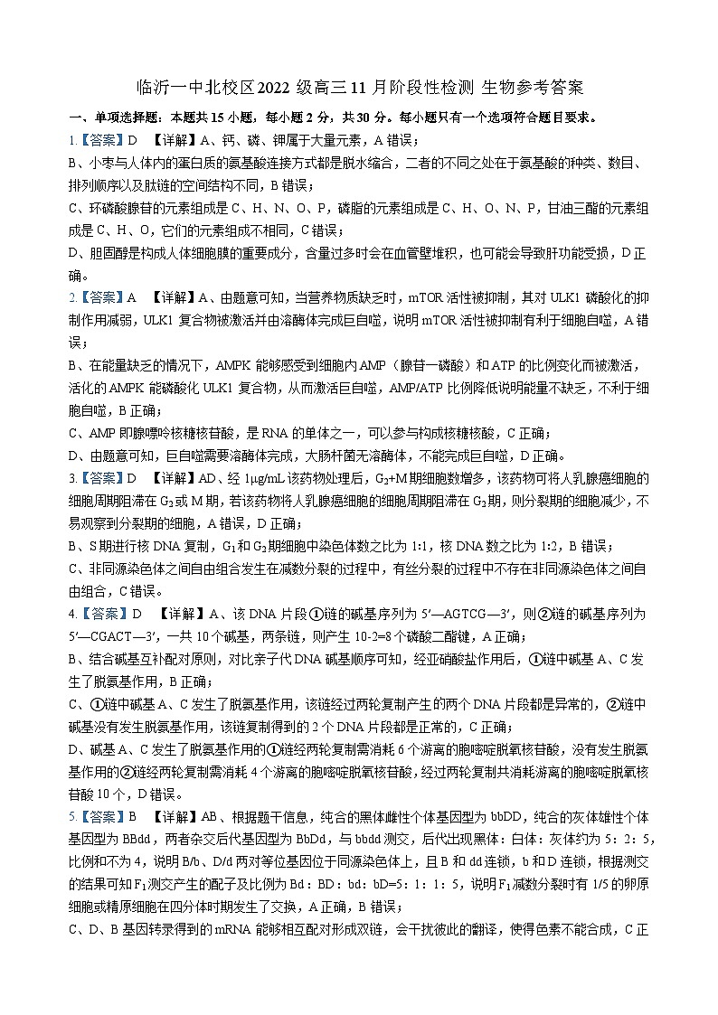 临沂一中北校区2022级高三11月阶段性检测 答案第1页