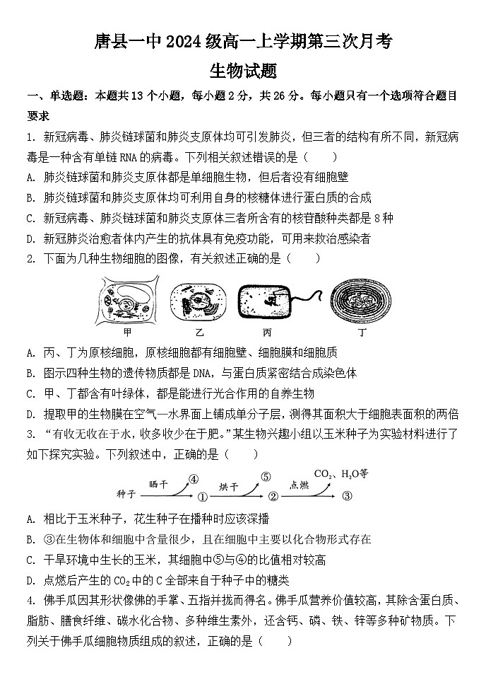 河北省保定市唐县第一中学2024-2025学年高一上学期12月月考生物试题第1页