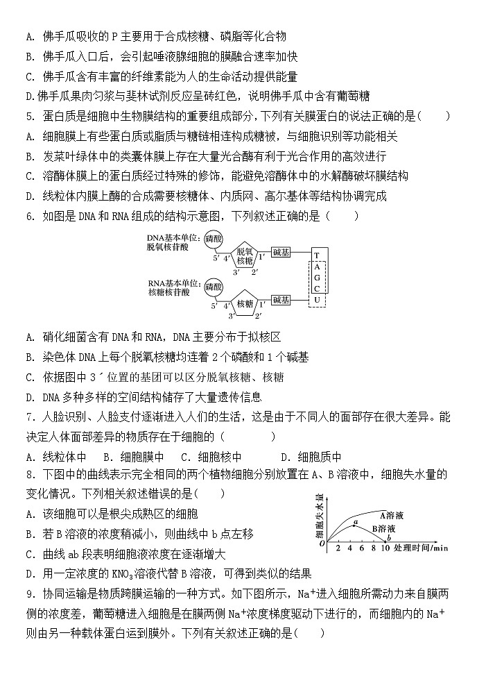 河北省保定市唐县第一中学2024-2025学年高一上学期12月月考生物试题第2页
