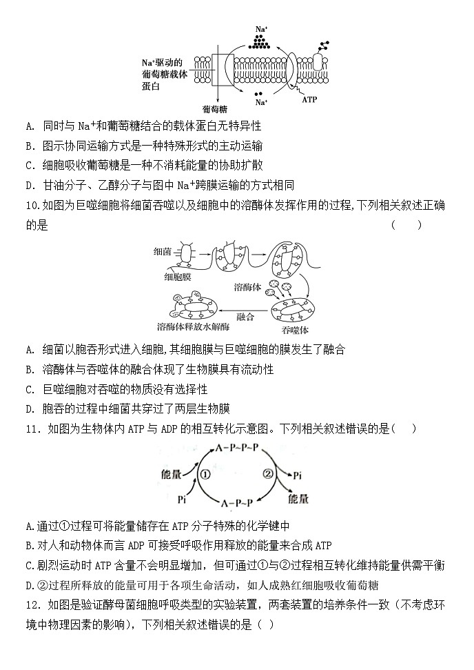 河北省保定市唐县第一中学2024-2025学年高一上学期12月月考生物试题第3页