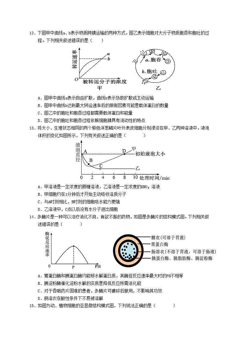 福建省宁德市福鼎市第四中学2024-2025学年高一上学期12月月考生物试题第3页