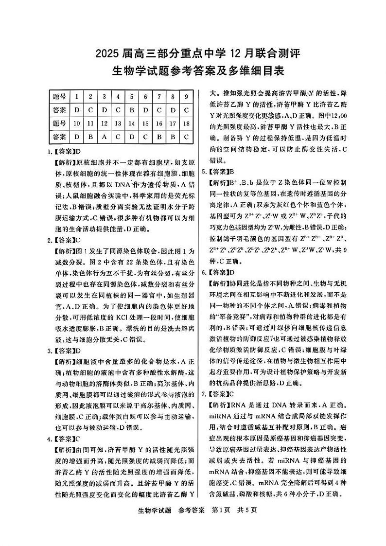生物答案 (1)第1页