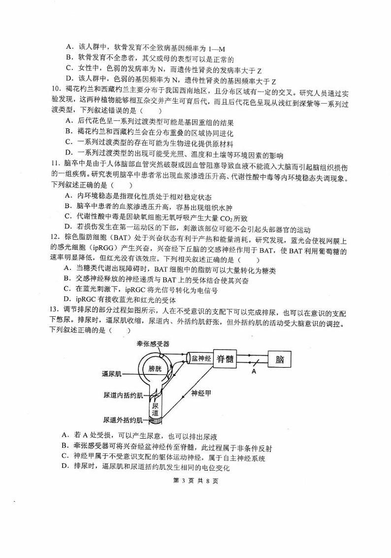 四川省绵阳市涪城区四川省绵阳中学2024-2025学年高三上学期12月月考生物试题第3页