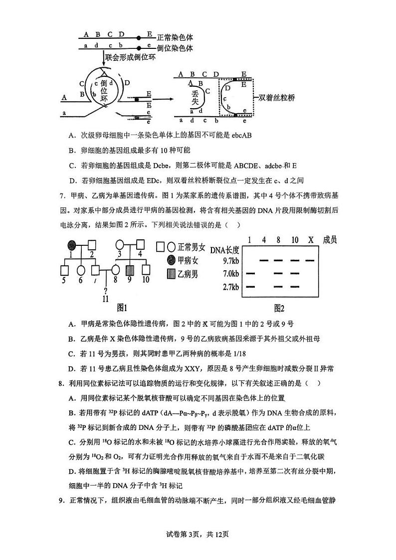 山东省枣庄市滕州市山东省滕州市第一中学2024-2025学年高三上学期12月月考生物试题第3页