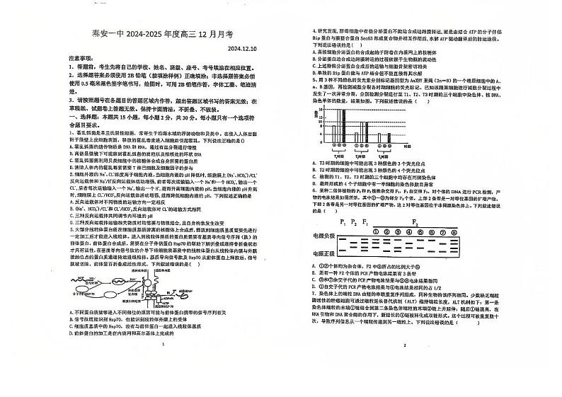 山东省泰安市泰山区泰安第一中学2024-2025学年高三上学期12月月考生物试题第1页