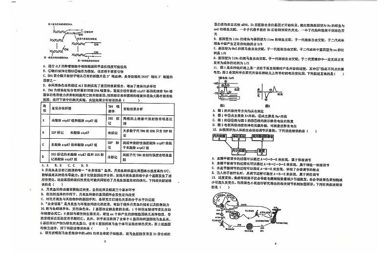 山东省泰安市泰山区泰安第一中学2024-2025学年高三上学期12月月考生物试题第2页