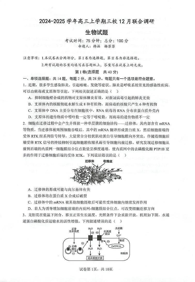 江苏省江苏省泰州中学2024-2025学年高三上学期12月月考生物试题第1页