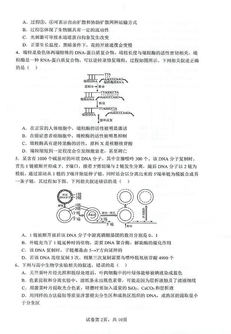 江苏省江苏省泰州中学2024-2025学年高三上学期12月月考生物试题第2页