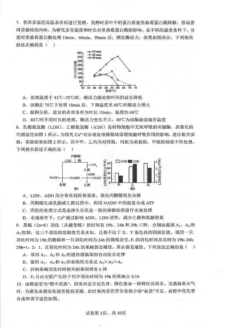 江苏省江苏省泰州中学2024-2025学年高三上学期12月月考生物试题第3页