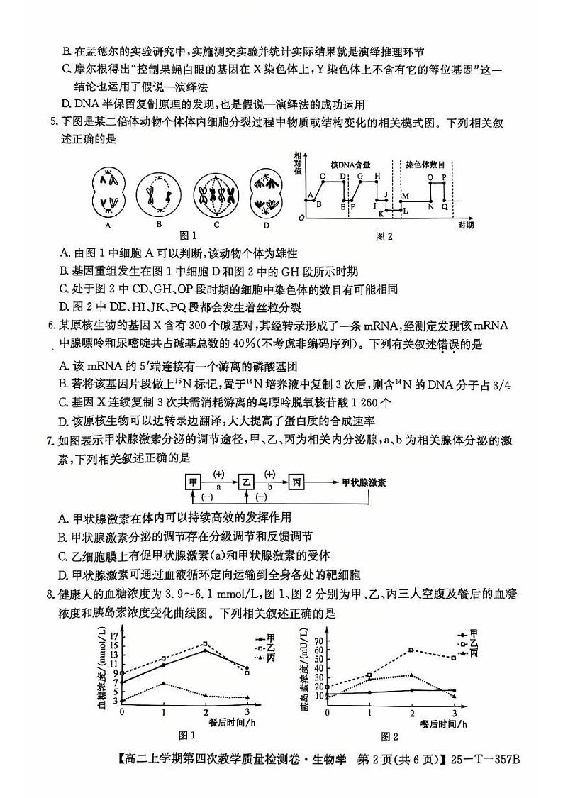 安徽省阜阳市太和县太和中学2024-2025学年高二上学期12月月考生物试题第2页