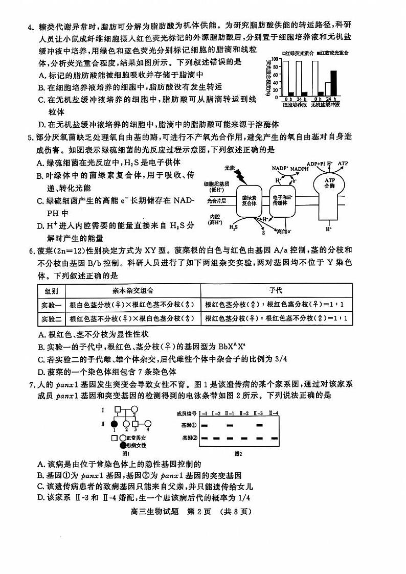 山东省济南市名校考试联盟2024-2025学年高三上学期12月月考生物试题第2页