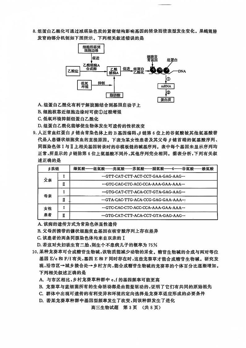 山东省济南市名校考试联盟2024-2025学年高三上学期12月月考生物试题第3页