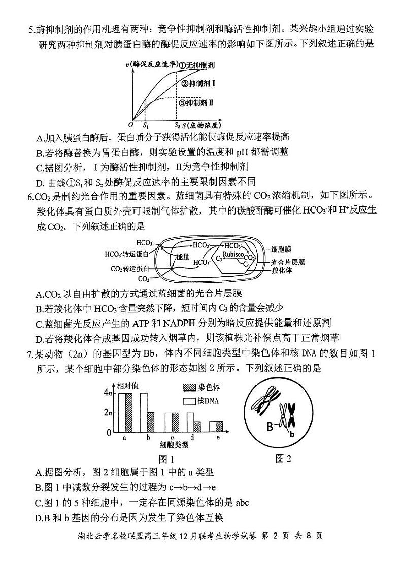 湖北省云学名校联盟2025届高三上学期12月联考生物试卷（PDF版附答案）第2页